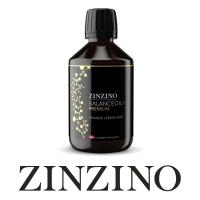 ZINZINO      