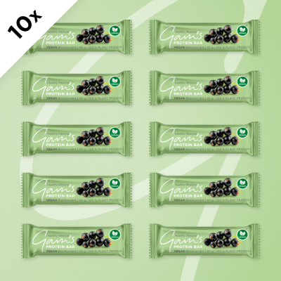 GAM’S VEGAN PROTEIN TYČINKA BLACKCURRANT 40g 10 ks