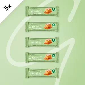 GAM’S VEGAN PROTEIN TYČINKA  SALTED CARAMEL 40g 5 ks